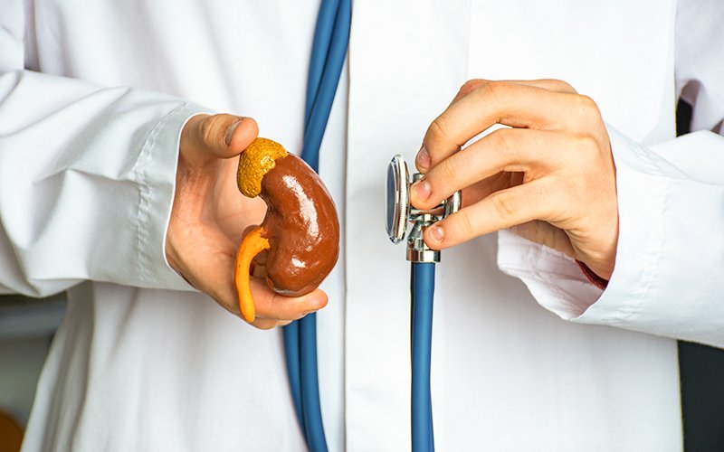 Renin Hospital kidney experts Mancherial