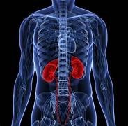 Renal CT scan imaging Renin Superspeciality Hospital