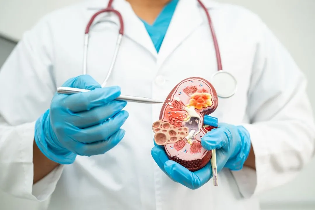 Renal ultrasound scan Renin Hospital Mancherial