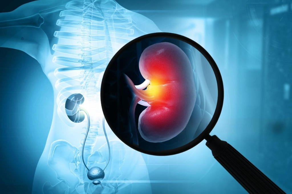 Minimally invasive vascular surgery Mancherial